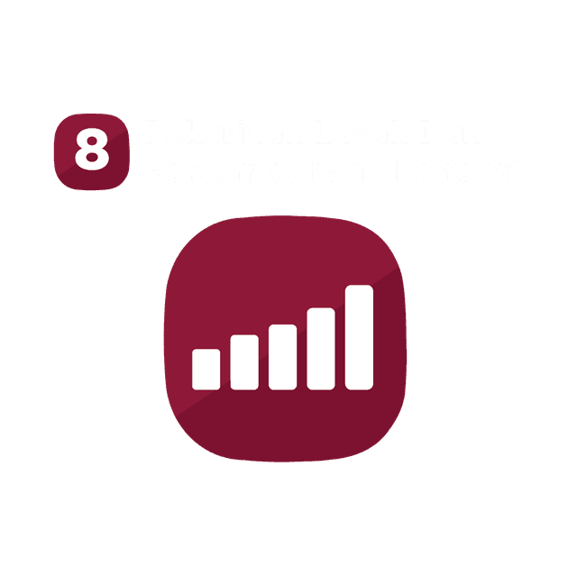 SDG 8