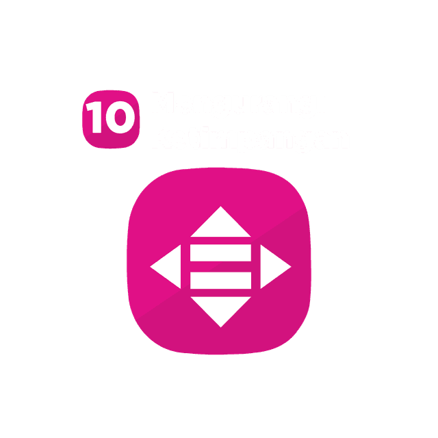 SDG 10