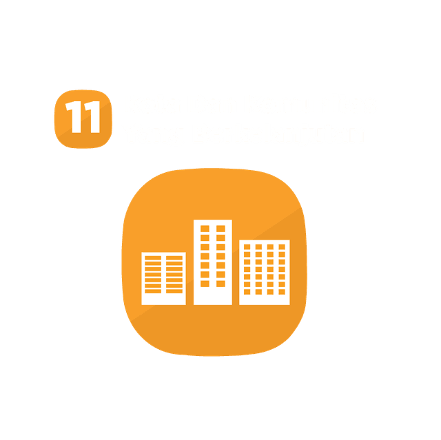 SDG 11