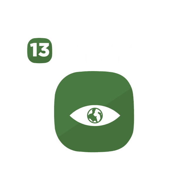 SDG 13