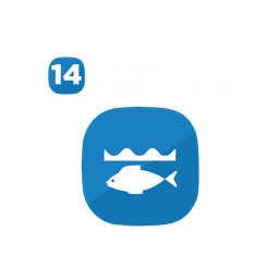 SDG 14
