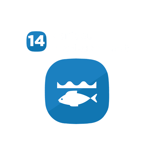 SDG 14
