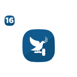 SDG 16: Peace, Justice and Strong Institutions