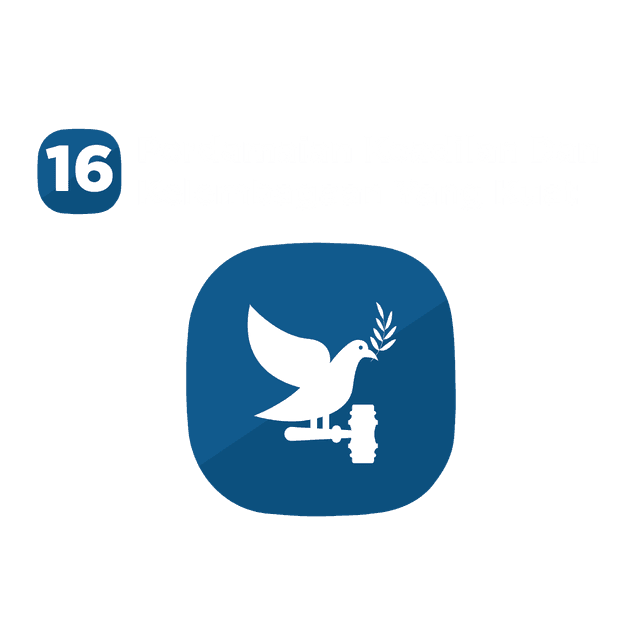 SDG 16