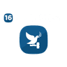 SDG 16: Peace, Justice and Strong Institutions