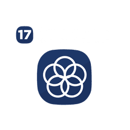 SDG 17