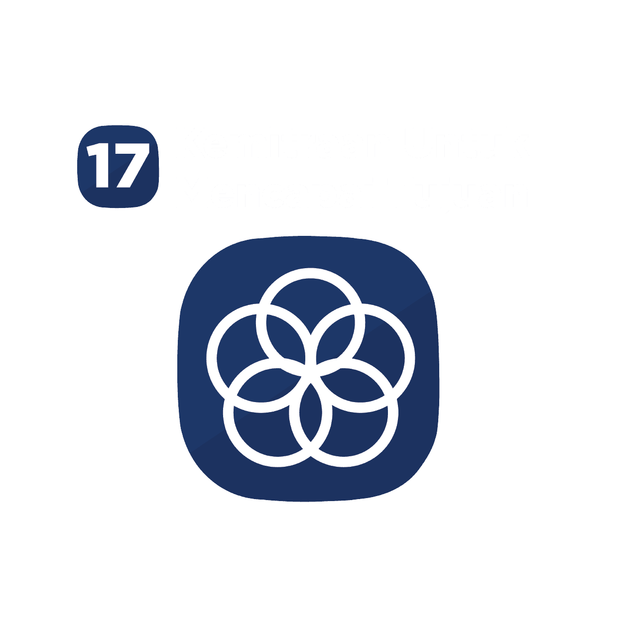 SDG 17