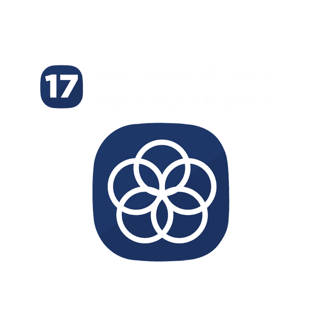 SDG 17
