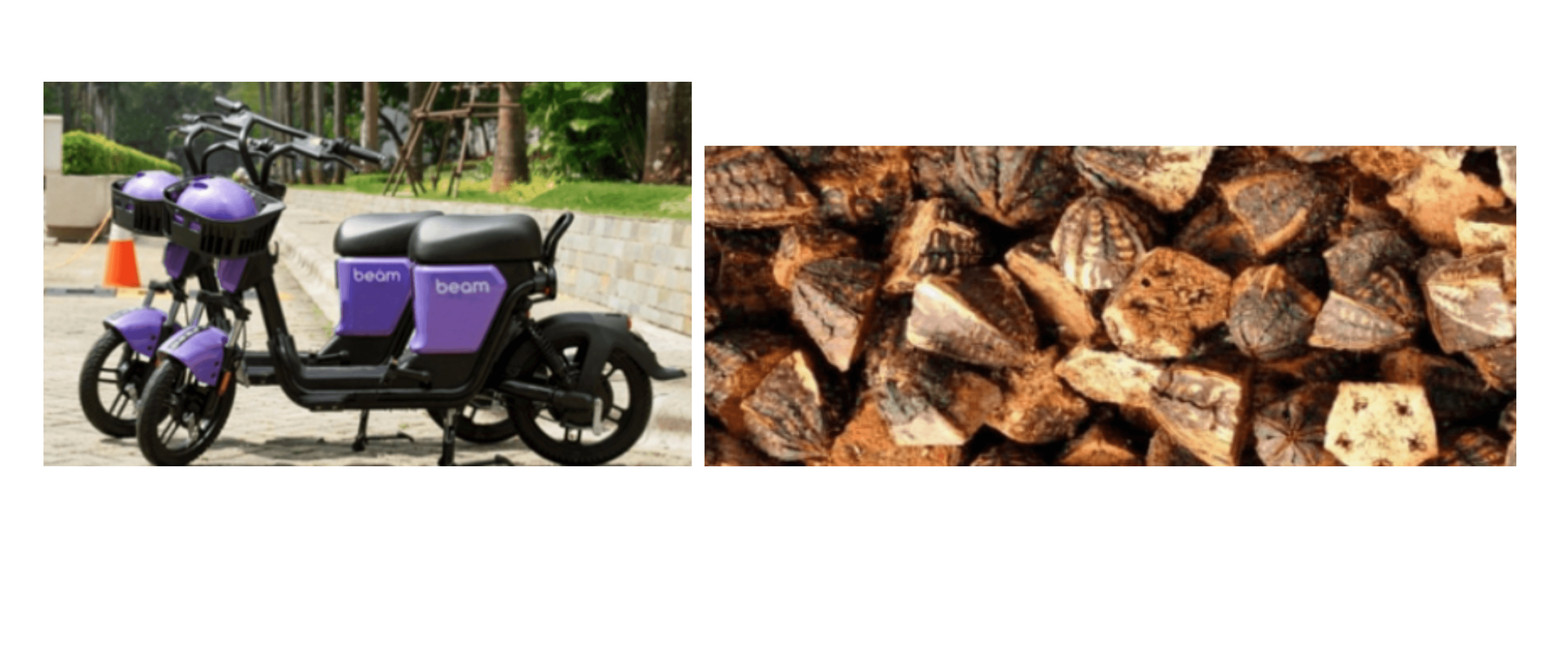 Telkom University Strengthens Its Commitment to Carbon Management and Green Mobility