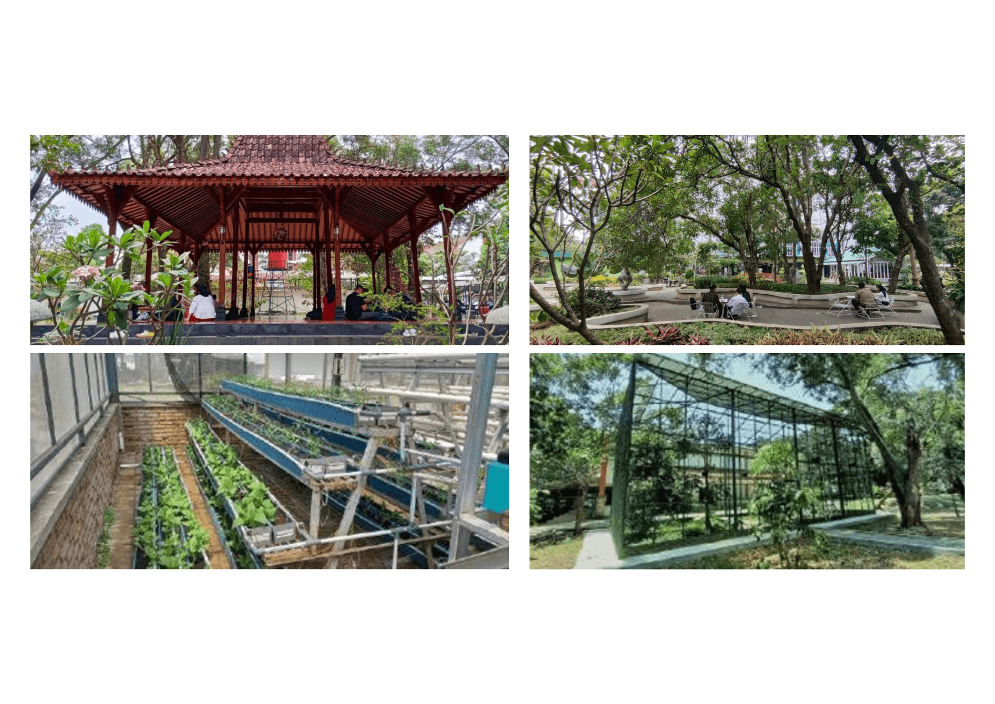 Telkom University Opens Its Green Spaces for Public Learning and Environmental Awareness
