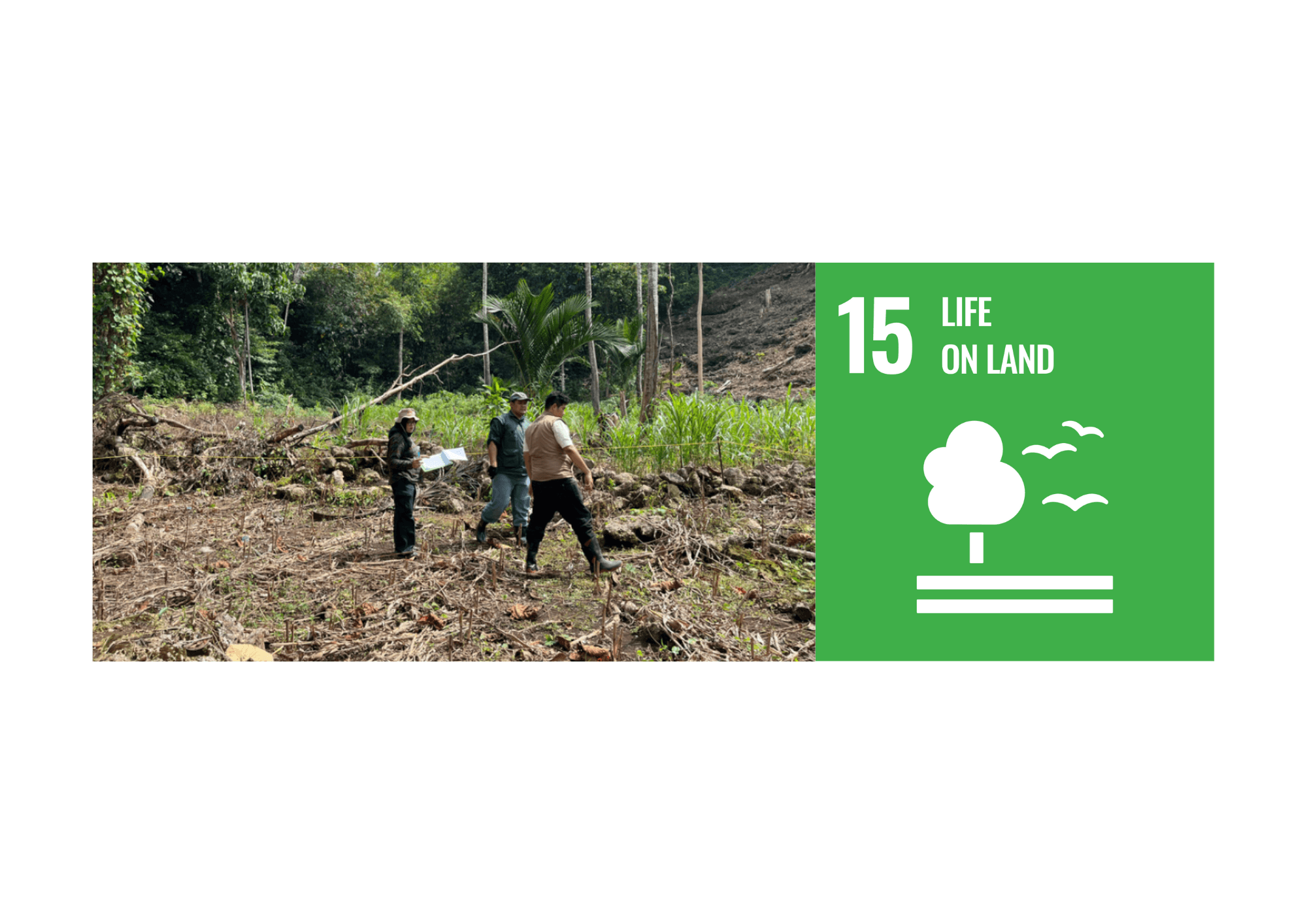 Telkom University Publishes Progress on SDG 15: Life on Land Through Carbon Management and Biodiversity Innovation