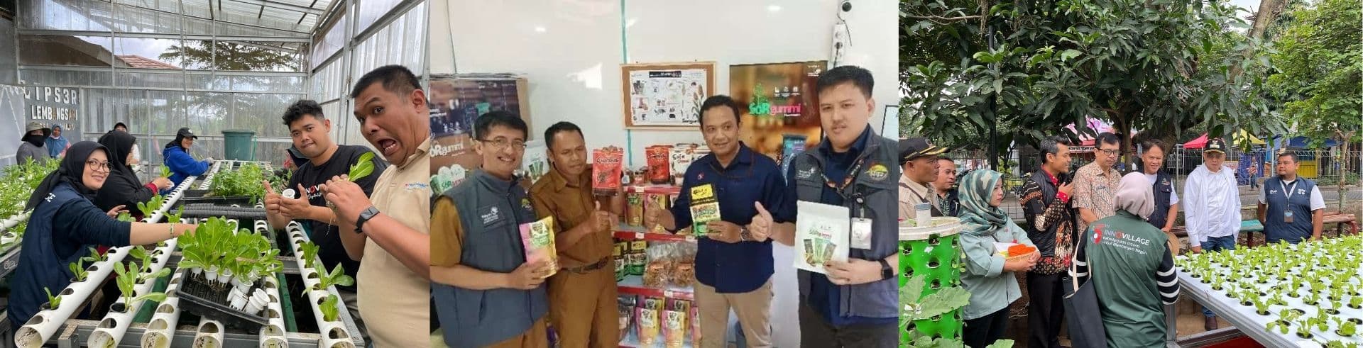 Telkom University Strengthens Sustainable Agriculture through Research Innovation and Farmer Collaboration