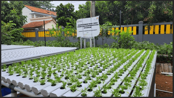 Empowering Digital Economies: Telkom University’s Collaborative Initiatives for SDG 8